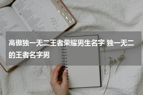 高傲独一无二王者荣耀男生名字 独一无二的王者名字男
