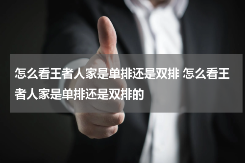 怎么看王者人家是单排还是双排 怎么看王者人家是单排还是双排的