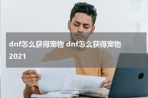 dnf怎么获得宠物 dnf怎么获得宠物2021