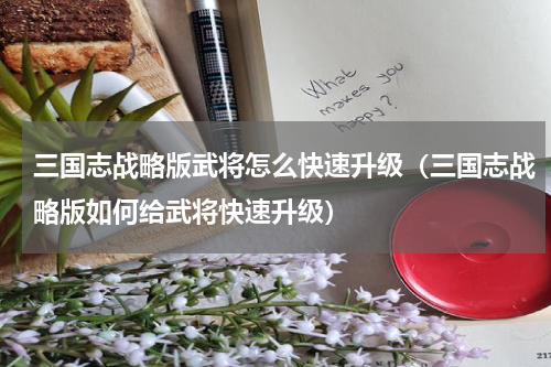 三国志战略版武将怎么快速升级（三国志战略版如何给武将快速升级）