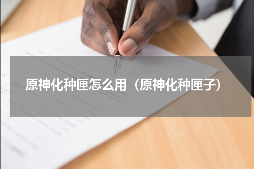 原神化种匣怎么用（原神化种匣子）