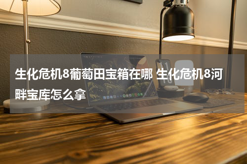 生化危机8葡萄田宝箱在哪 生化危机8河畔宝库怎么拿