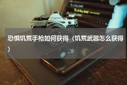 恐惧饥荒手枪如何获得（饥荒武器怎么获得）