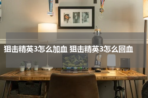 狙击精英3怎么加血 狙击精英3怎么回血