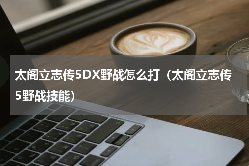 太阁立志传5DX野战怎么打（太阁立志传5野战技能）