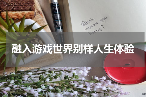 融入游戏世界别样人生体验