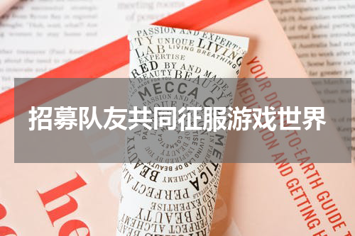 招募队友共同征服游戏世界