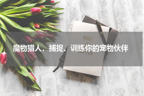  魔物猎人，捕捉、训练你的宠物伙伴