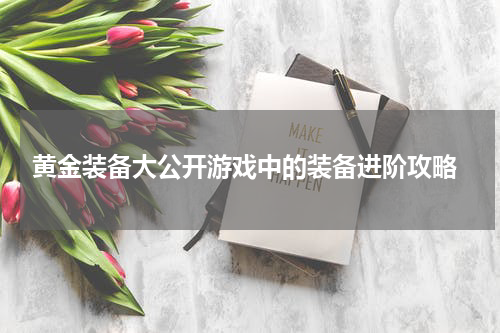  黄金装备大公开游戏中的装备进阶攻略