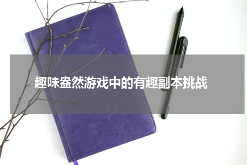  趣味盎然游戏中的有趣副本挑战