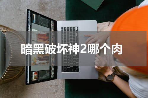 暗黑破坏神2哪个肉