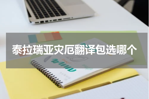 泰拉瑞亚灾厄翻译包选哪个
