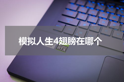 模拟人生4翅膀在哪个