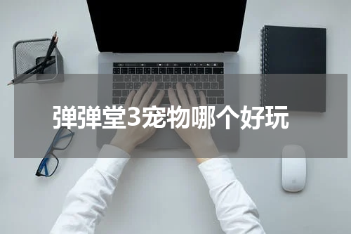 弹弹堂3宠物哪个好玩